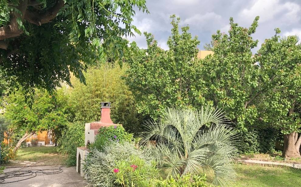Maison avec un beau jardin arboré